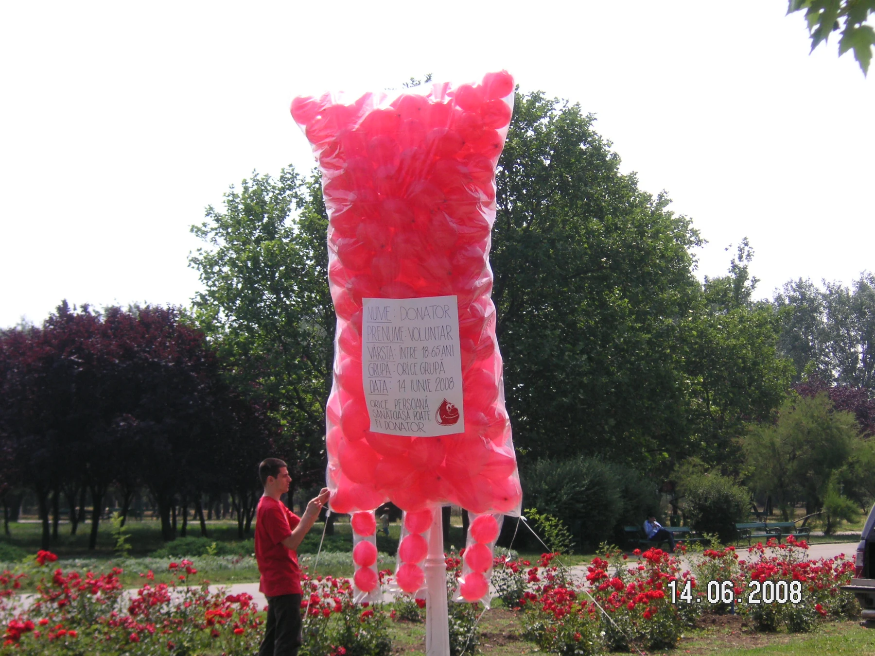 Véradók világnapja   2008 Tineretului